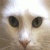 696.gif