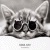 721.gif